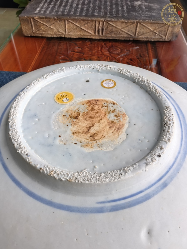 古玩陶瓷漳州窯青花洞石鳳凰牡丹花卉紋盤真品鑒賞圖