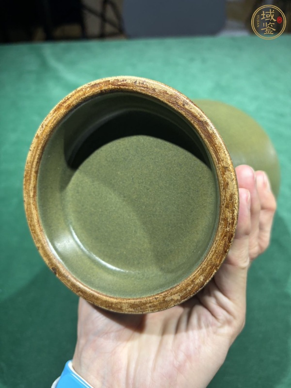古玩陶瓷清中期 茶葉末釉梅瓶（淄博窯）真品鑒賞圖