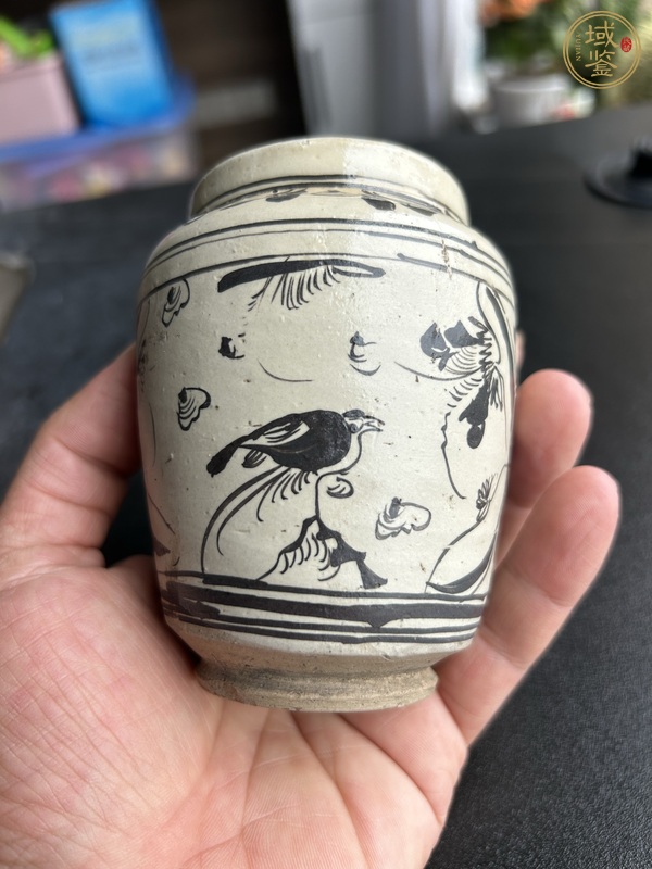 古玩陶瓷磁州窯白地黑花花鳥紋罐真品鑒賞圖