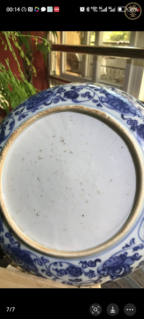 古玩陶瓷明成化孔雀牡丹圖青花盤真品鑒賞圖