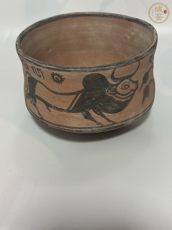 古玩陶瓷哈拉帕牛紋真品鑒賞圖