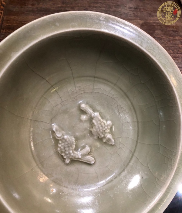 古玩陶瓷宋元·青釉模印雙魚紋折沿盤 真品鑒賞圖