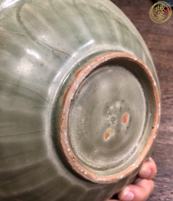 古玩陶瓷宋元·青釉模印雙魚紋折沿盤 真品鑒賞圖
