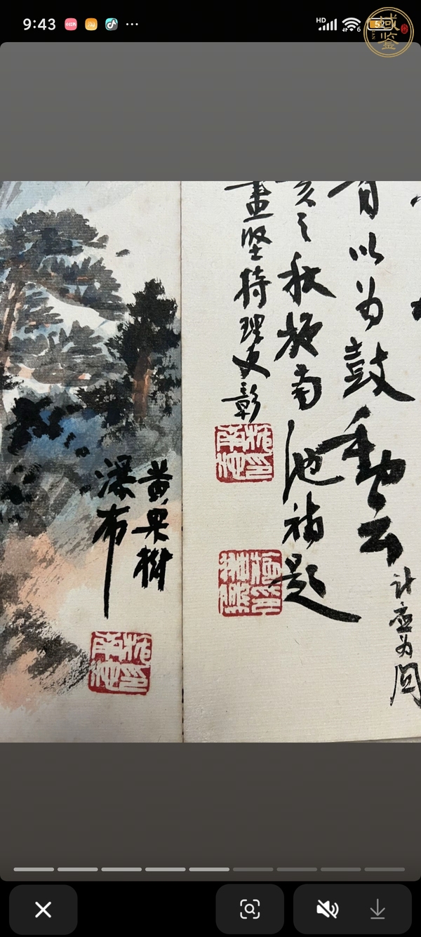 古玩字畫書畫卷真品鑒賞圖