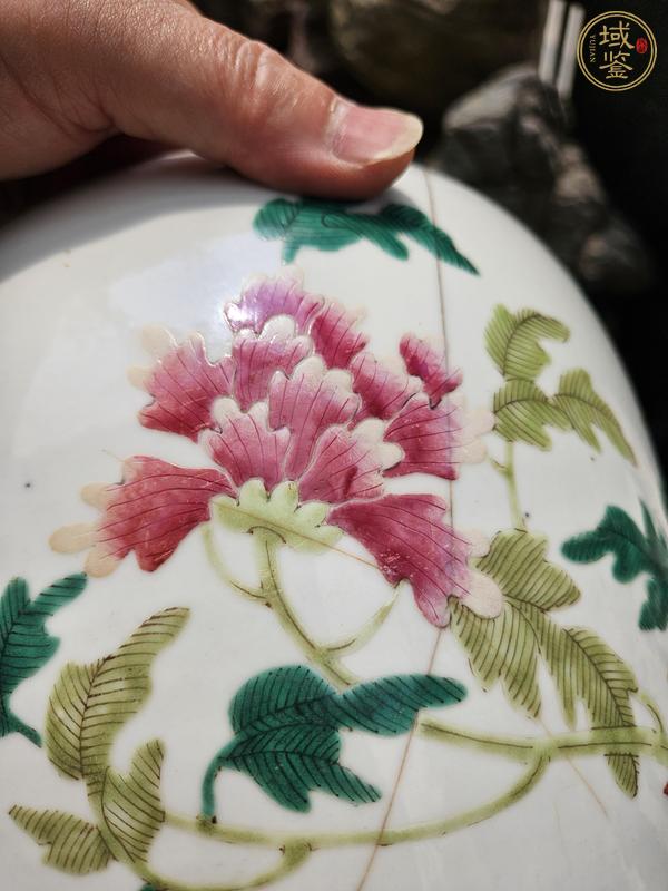 古玩陶瓷粉彩花卉紋東瓜罐真品鑒賞圖