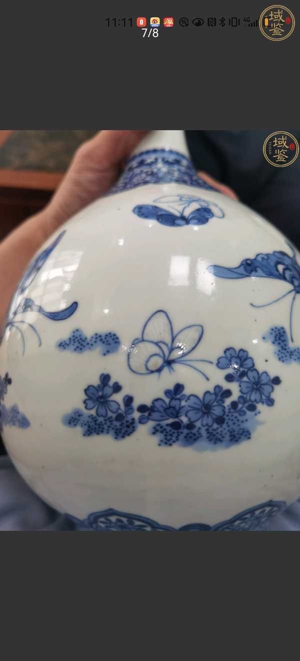 古玩陶瓷青花釉里紅白蝶紋膽式瓶真品鑒賞圖