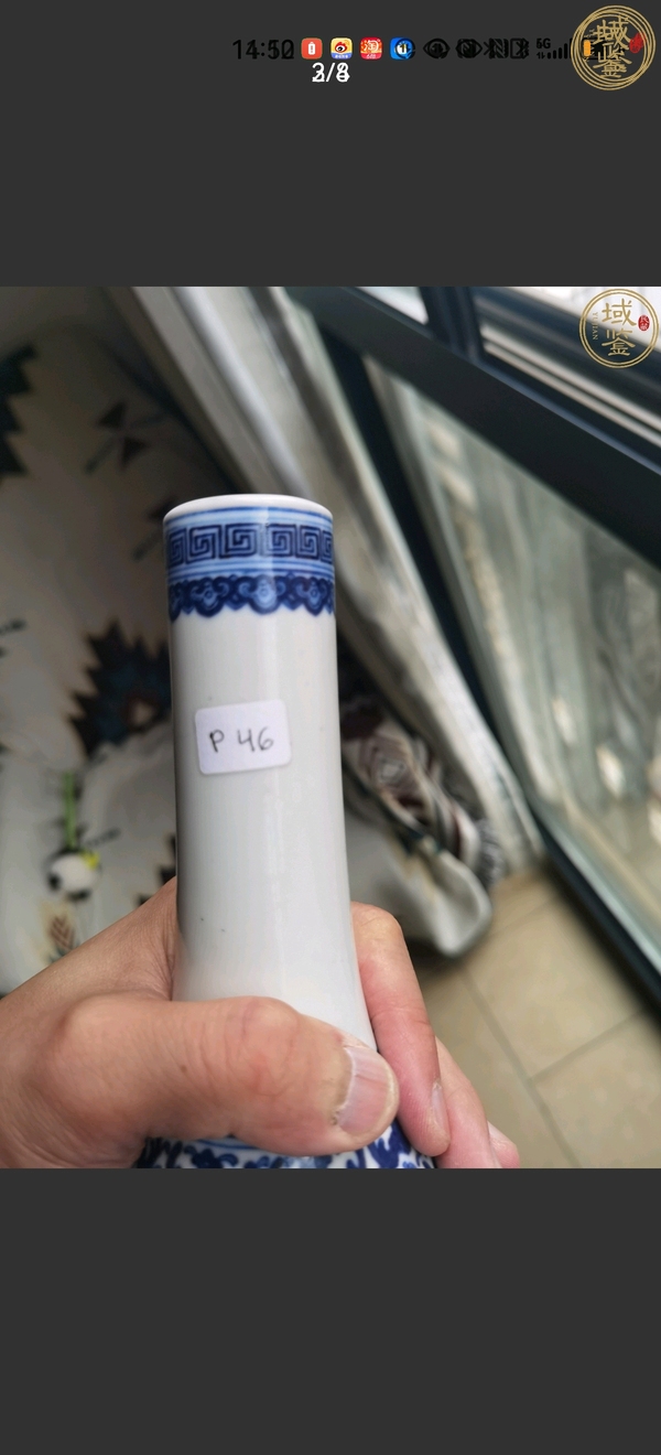 古玩陶瓷青花釉里紅白蝶紋膽式瓶真品鑒賞圖