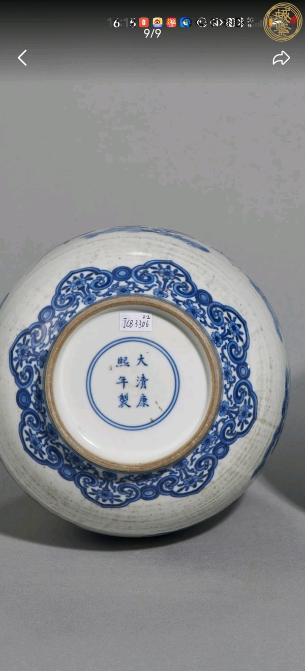 古玩陶瓷青花釉里紅白蝶紋膽式瓶真品鑒賞圖
