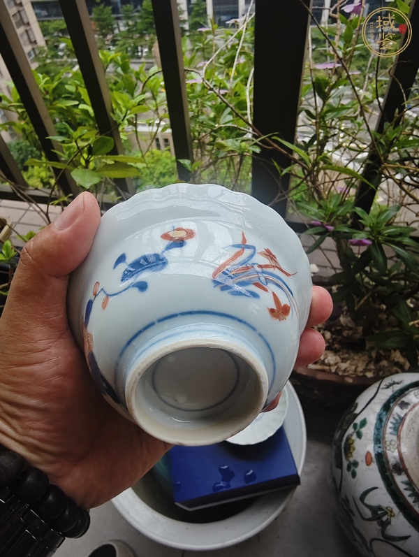 古玩康熙青花礬紅描金花口蓋碗真品鑒賞圖