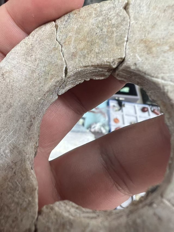 古玩玉器地方料玉璧拍賣，當前價格1688元