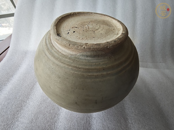 古玩陶瓷龍泉窯青釉雙系刻花罐真品鑒賞圖