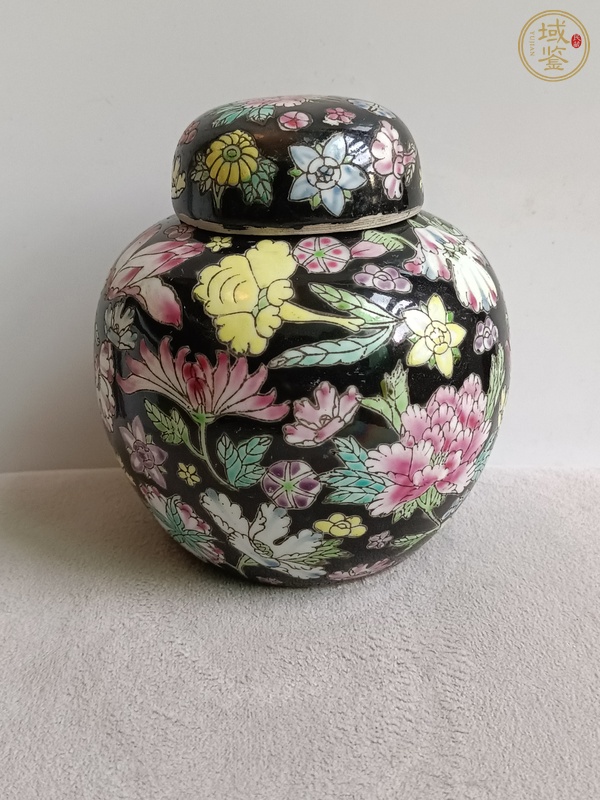 古玩陶瓷墨地粉彩花卉紋蓋罐真品鑒賞圖