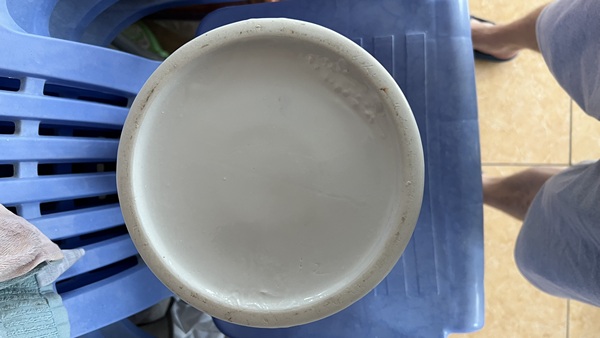 古玩陶瓷青花留白梅紋將軍罐拍賣，當(dāng)前價(jià)格399元