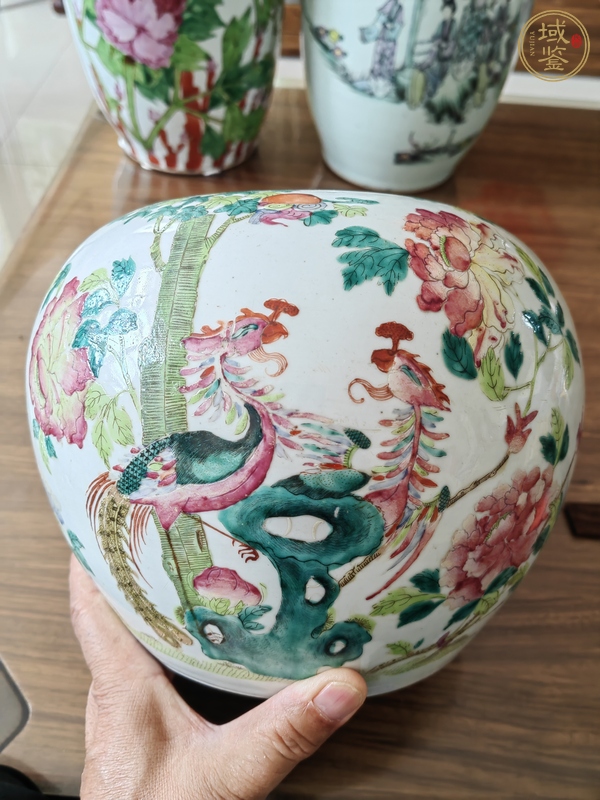 古玩陶瓷鳳凰牡丹紋粉彩西瓜罐真品鑒賞圖