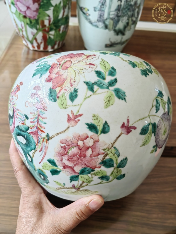 古玩陶瓷鳳凰牡丹紋粉彩西瓜罐真品鑒賞圖