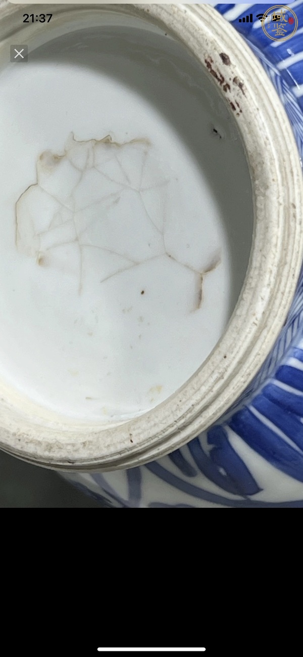 古玩陶瓷青花花卉紋蓮子罐真品鑒賞圖