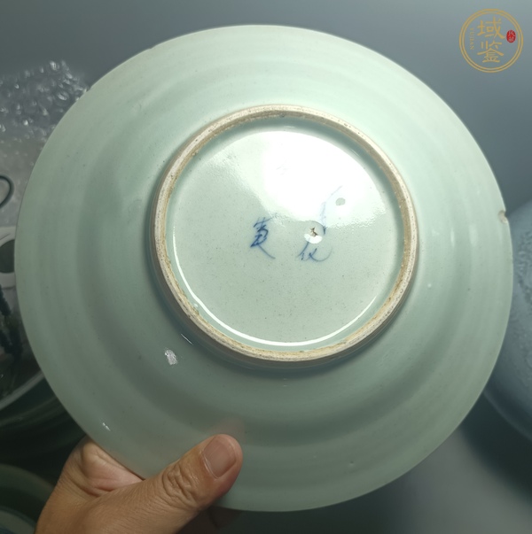 古玩陶瓷五福同壽盤真品鑒賞圖