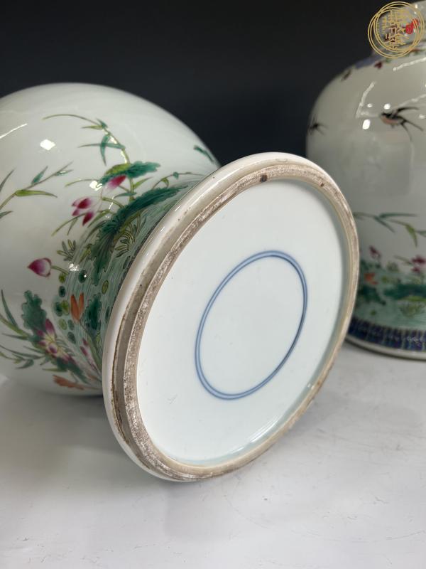 古玩清晚期 粉彩花鳥紋將軍罐真品鑒賞圖