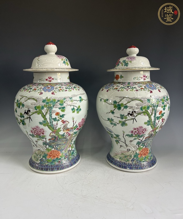 古玩陶瓷清晚期 粉彩花鳥(niǎo)紋將軍罐真品鑒賞圖