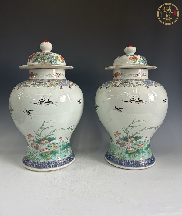 古玩陶瓷清晚期 粉彩花鳥(niǎo)紋將軍罐真品鑒賞圖