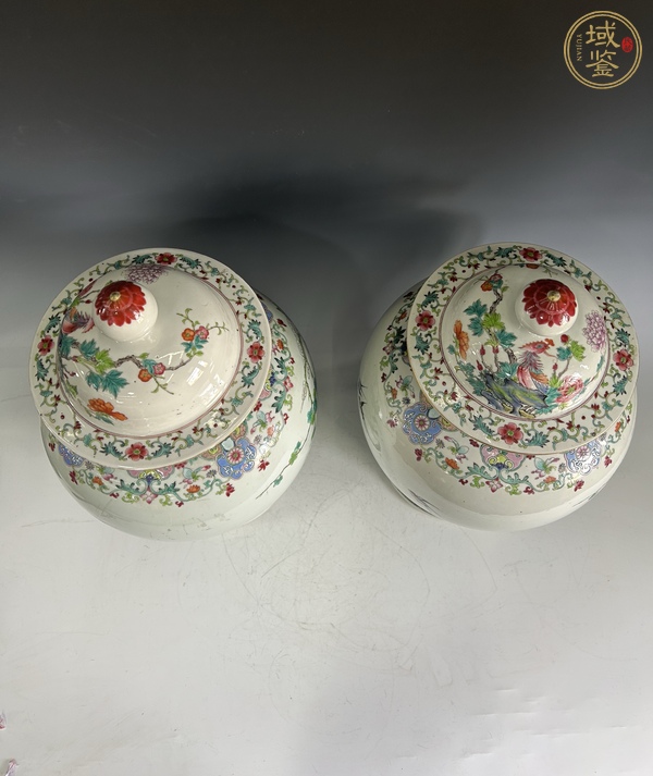 古玩陶瓷清晚期 粉彩花鳥(niǎo)紋將軍罐真品鑒賞圖