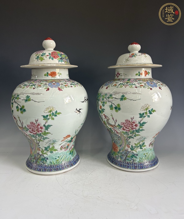 古玩陶瓷清晚期 粉彩花鳥(niǎo)紋將軍罐真品鑒賞圖