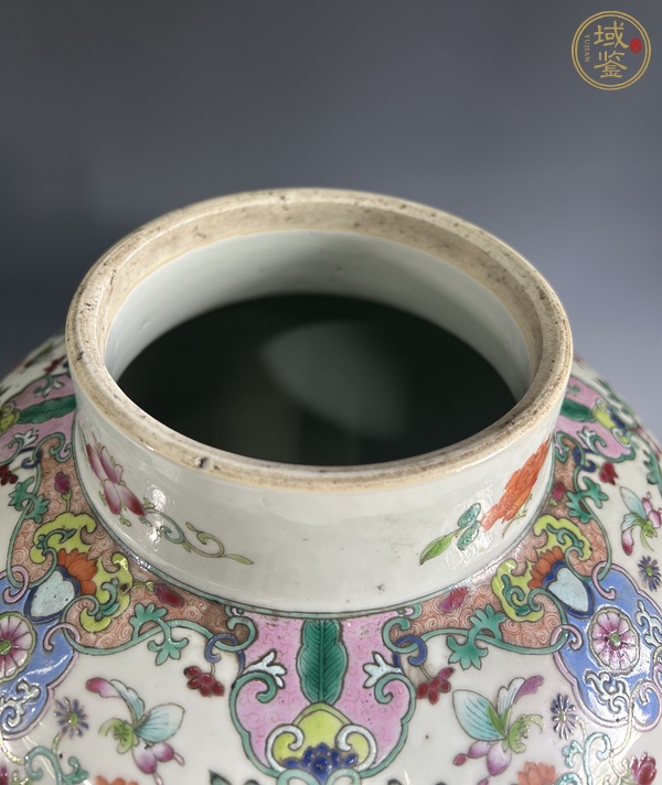 古玩陶瓷清晚期 粉彩花鳥(niǎo)紋將軍罐真品鑒賞圖