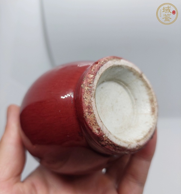 古玩陶瓷鈞紅釉截口瓶真品鑒賞圖