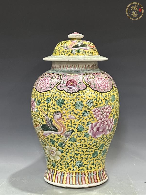古玩陶瓷粉彩將軍罐真品鑒賞圖