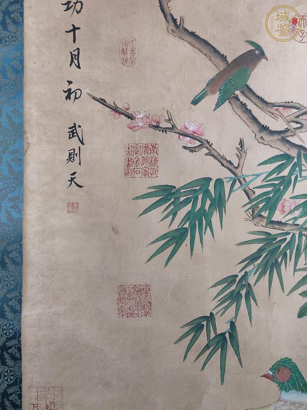 古玩字畫武則天款錦雞花鳥真品鑒賞圖