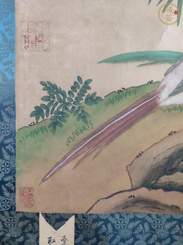 古玩字畫武則天款錦雞花鳥真品鑒賞圖