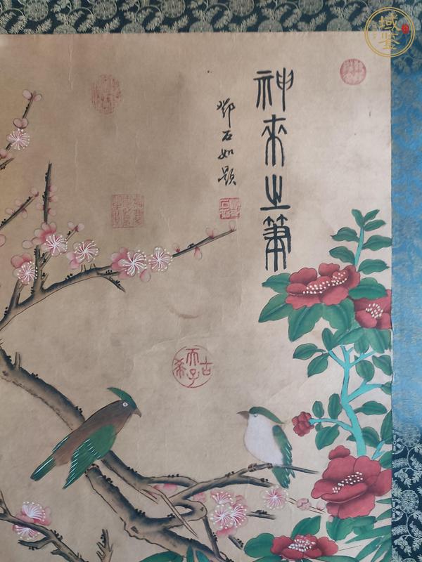 古玩字畫武則天款錦雞花鳥真品鑒賞圖