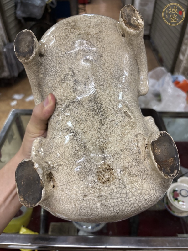 古玩陶瓷哥釉羊真品鑒賞圖
