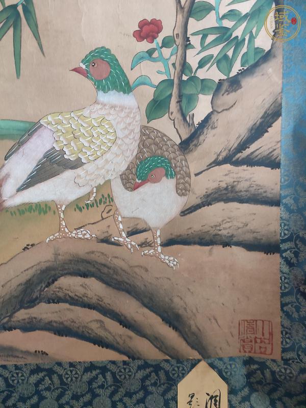古玩字畫武則天款錦雞花鳥真品鑒賞圖