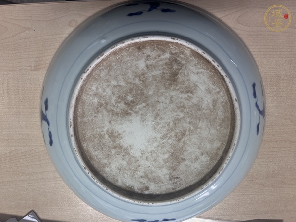 古玩陶瓷摩羯龍紋青花盤真品鑒賞圖