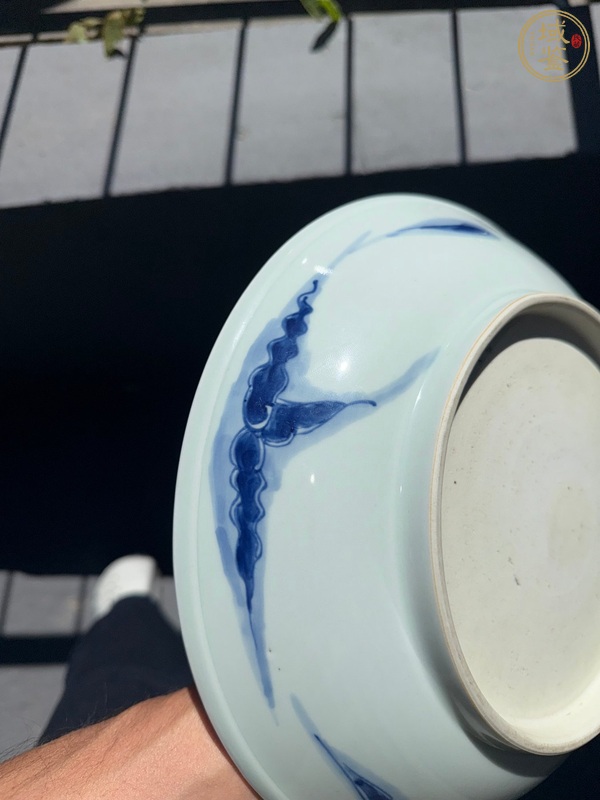 古玩陶瓷青花過墻龍紋盤真品鑒賞圖