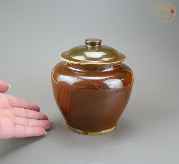 古玩陶瓷定窯系紫金釉蓋罐真品鑒賞圖