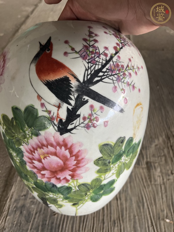 古玩陶瓷粉彩花鳥紋冬瓜罐，無底圖，偏老真品鑒賞圖