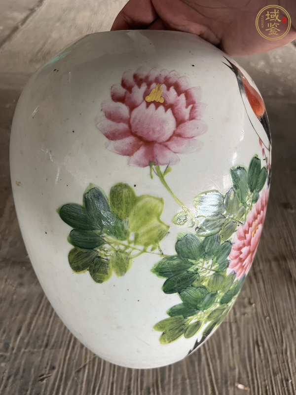 古玩陶瓷粉彩花鳥紋冬瓜罐，無底圖，偏老真品鑒賞圖