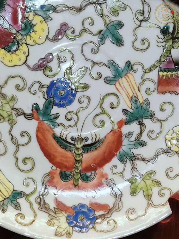 古玩陶瓷粉彩瓜蝶紋盤真品鑒賞圖