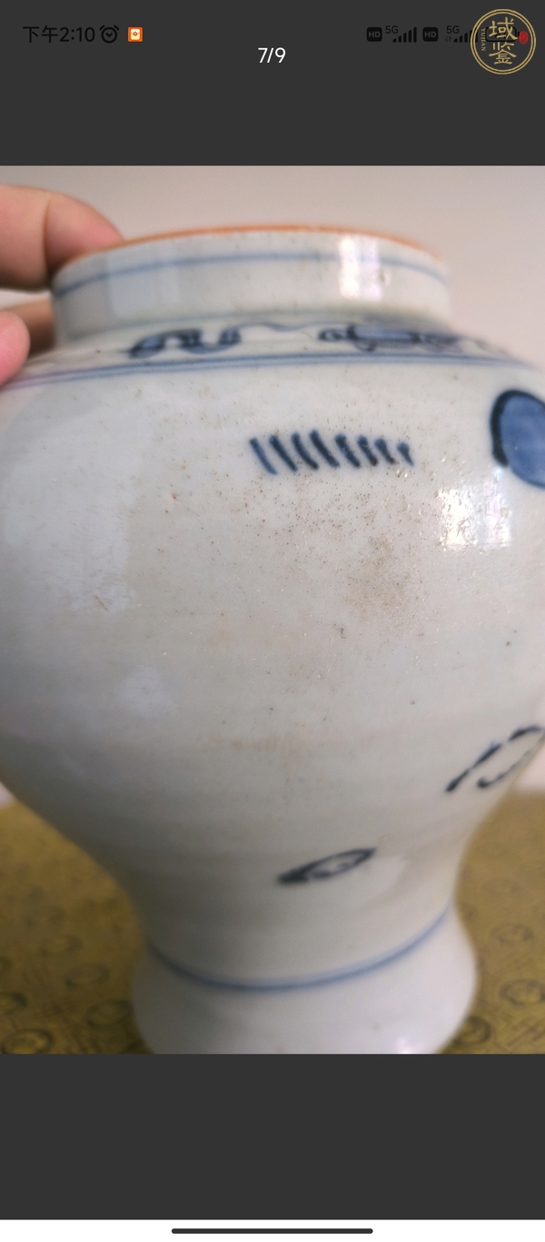 古玩柳蔭棲馬紋將軍罐真品鑒賞圖