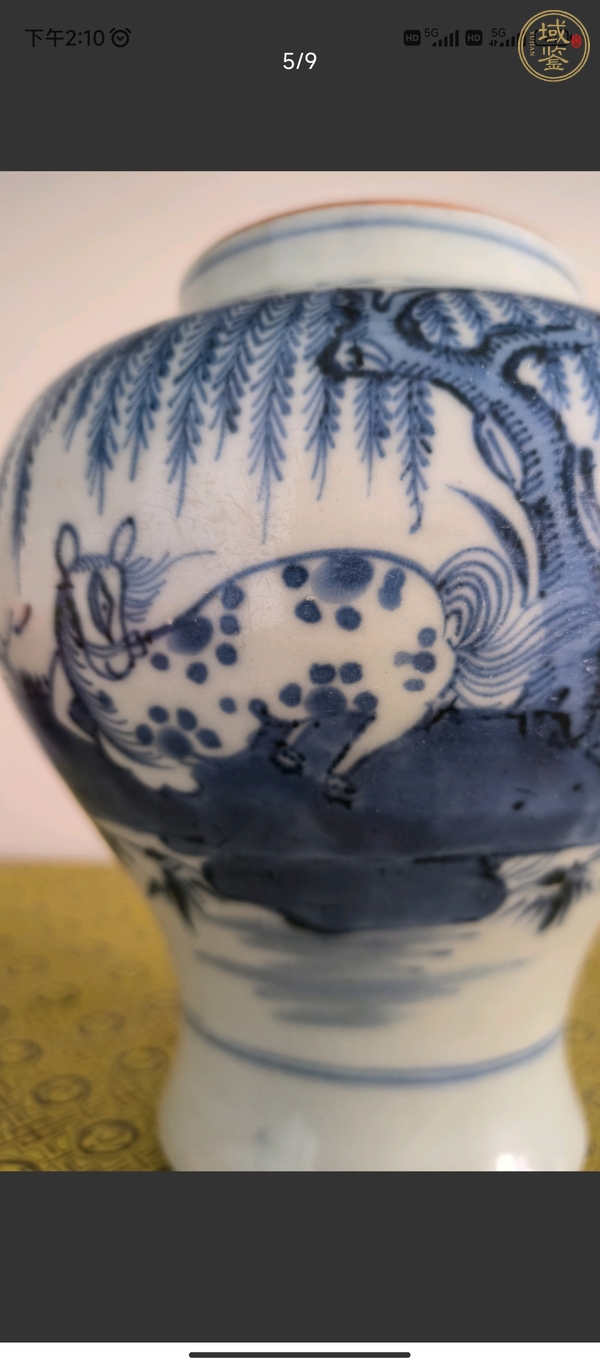 古玩陶瓷柳蔭棲馬紋將軍罐真品鑒賞圖