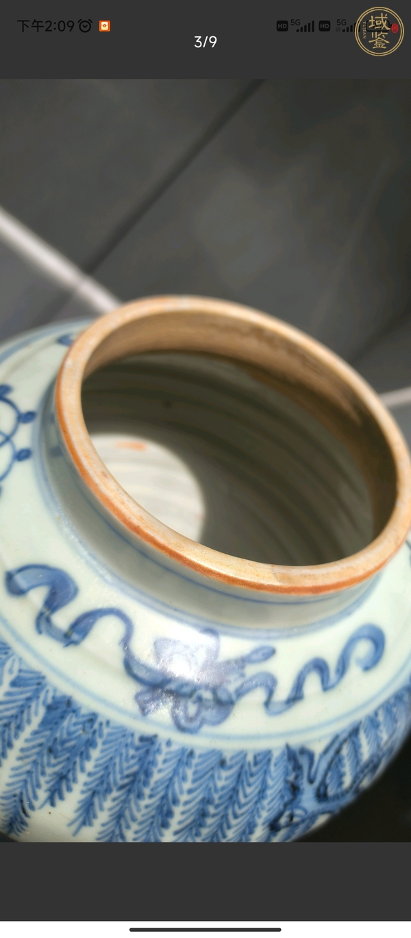古玩陶瓷柳蔭棲馬紋將軍罐真品鑒賞圖