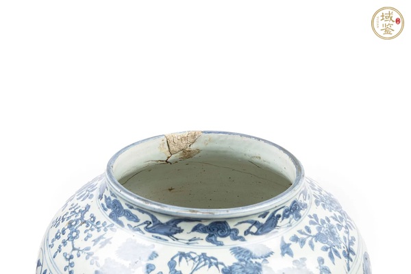 古玩青花團(tuán)螭龍?jiān)弃Q折枝花卉紋罐真品鑒賞圖