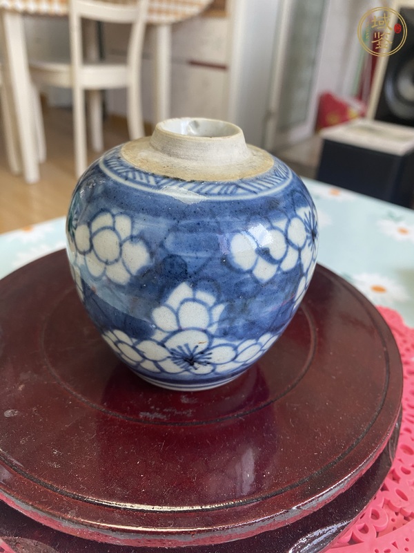 古玩康熙青花冰梅罐真品鑒賞圖