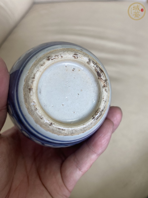 古玩陶瓷康熙青花冰梅罐真品鑒賞圖
