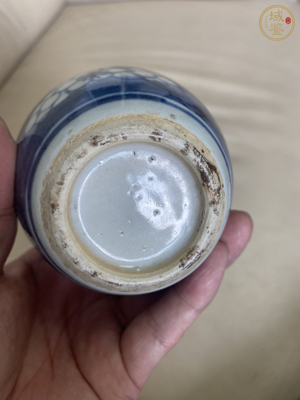 古玩陶瓷康熙青花冰梅罐真品鑒賞圖