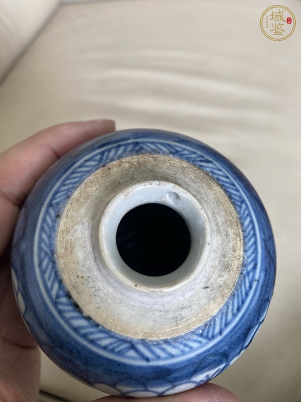 古玩陶瓷康熙青花冰梅罐真品鑒賞圖