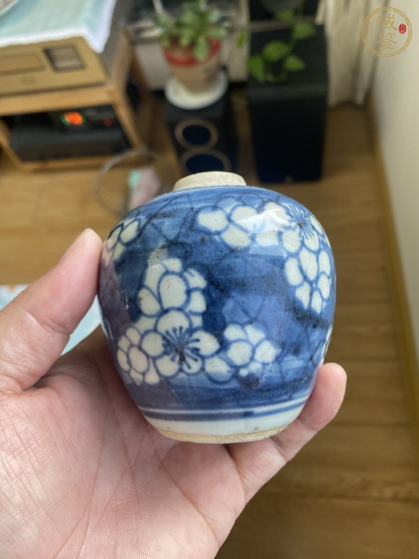 古玩陶瓷康熙青花冰梅罐真品鑒賞圖