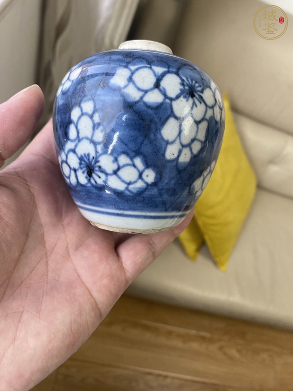 古玩陶瓷康熙青花冰梅罐真品鑒賞圖